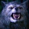 PhantomWerewolf80