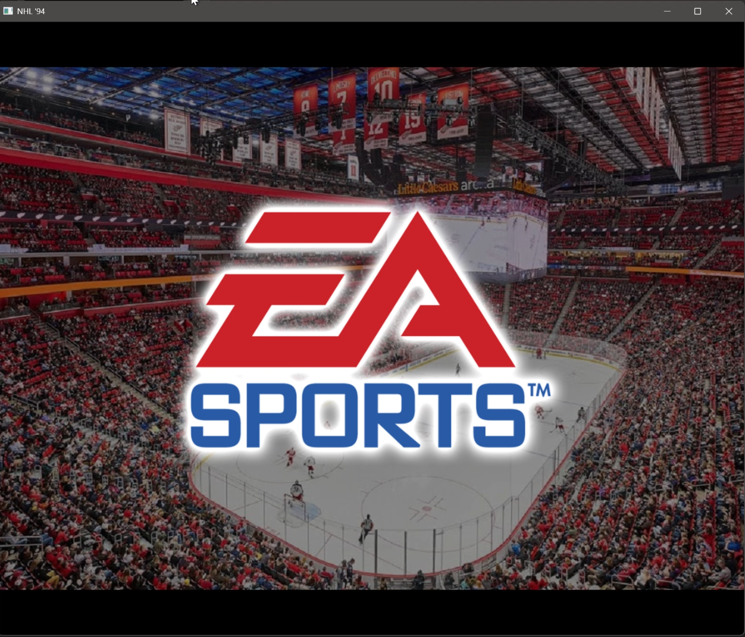 My NHL '94 Recompilation Project(s)